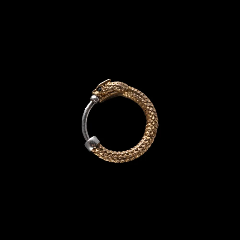 Ouroboros Earrings image 16