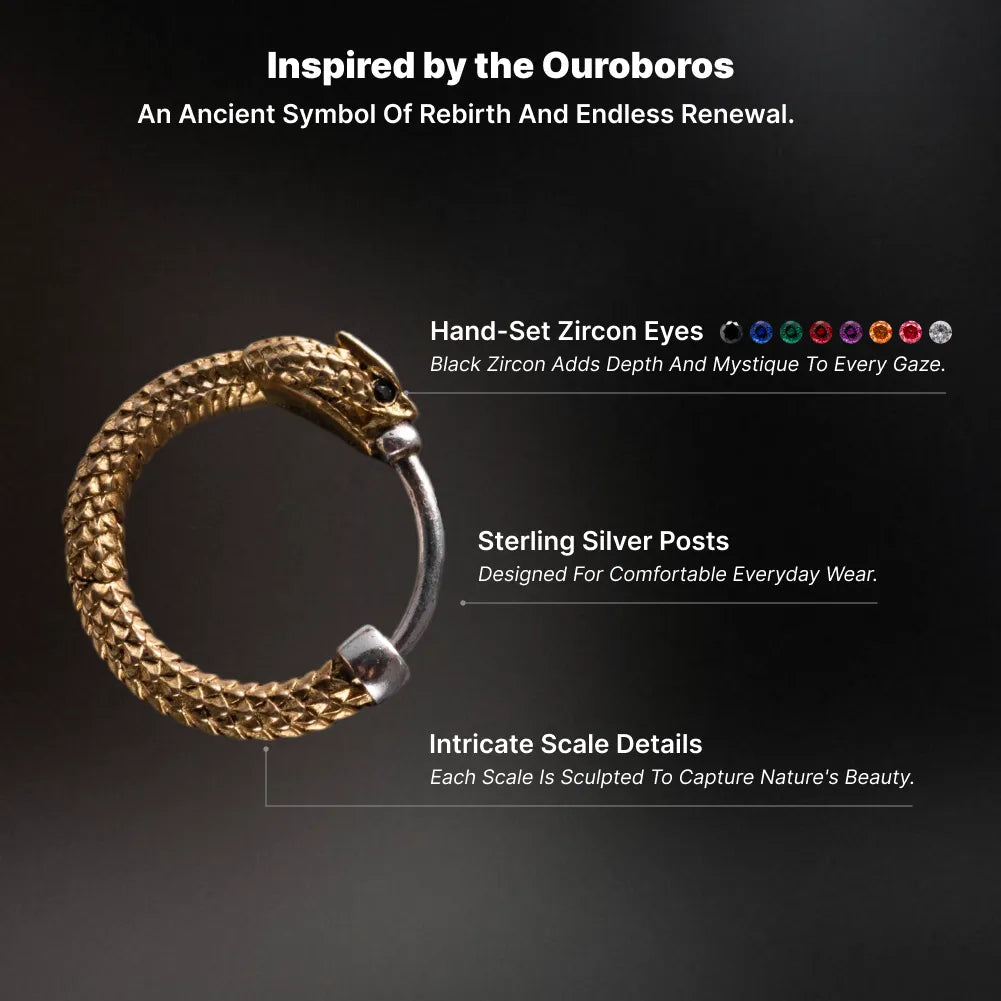 Ouroboros Earrings image 3