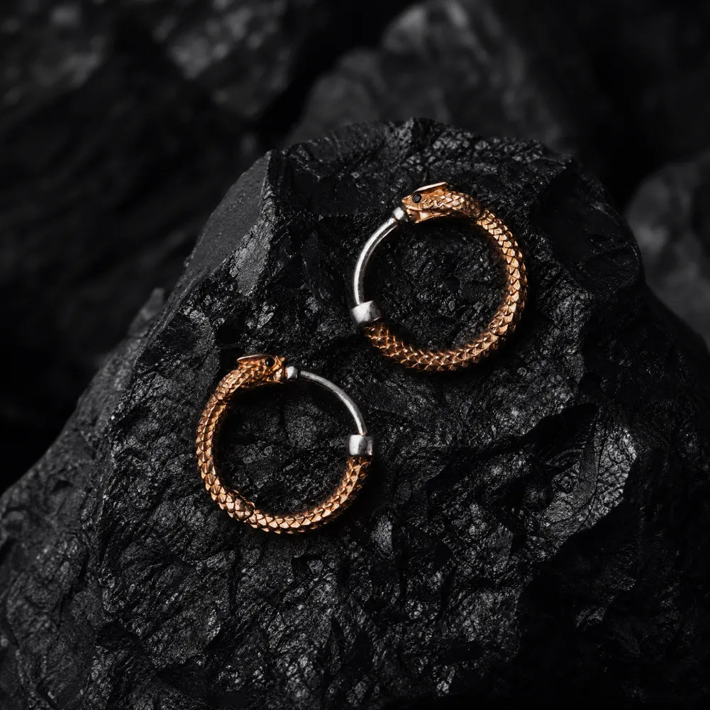 Ouroboros Earrings image 1