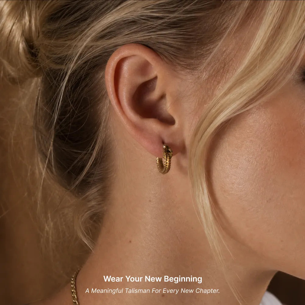 Ouroboros Earrings image 4