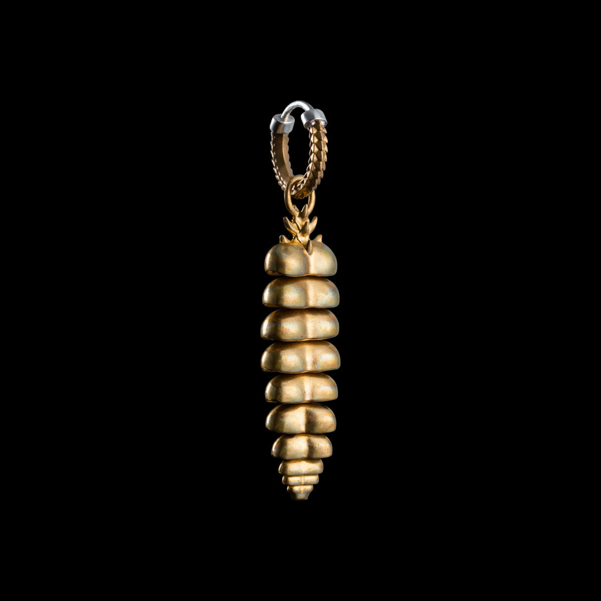 Rattlesnake Tail Earrings image 19